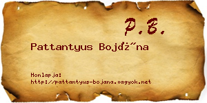 Pattantyus Bojána névjegykártya